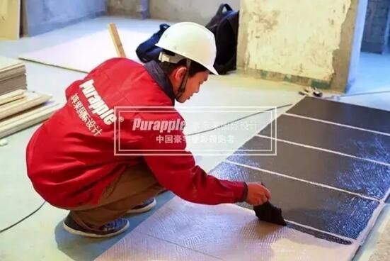 無(wú)錫紫蘋(píng)果裝飾