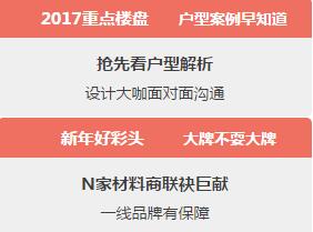 無錫紫蘋果裝飾