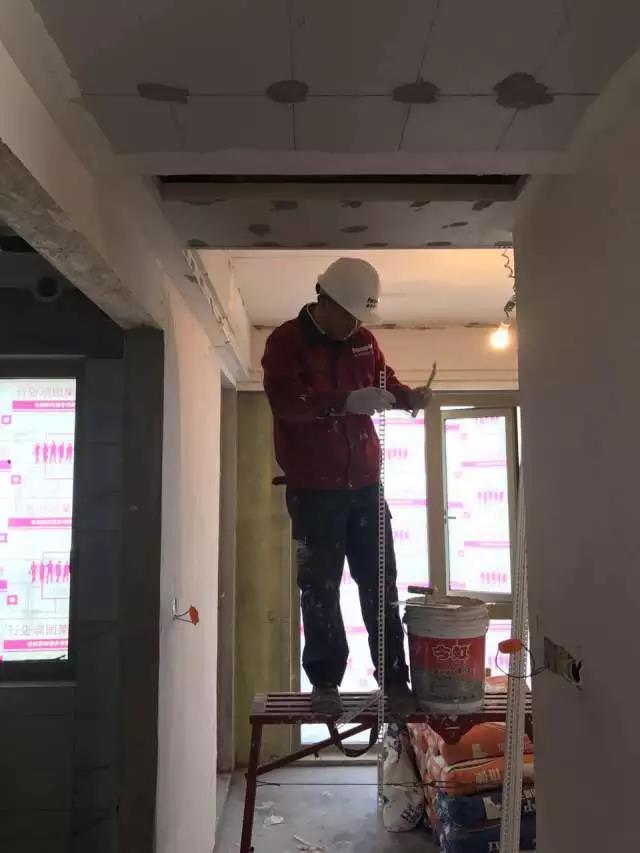 無錫紫蘋果裝飾