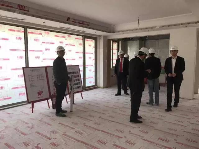 無錫紫蘋果裝飾