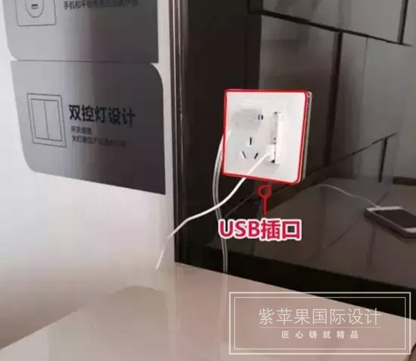 無錫紫蘋果裝飾