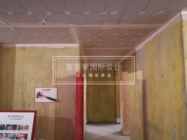 無錫紫蘋果裝飾