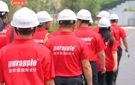 無(wú)錫紫蘋果裝飾