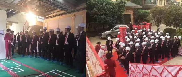 無錫紫蘋果裝飾