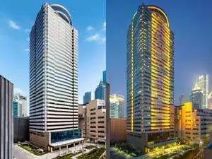 無錫紫蘋果裝飾