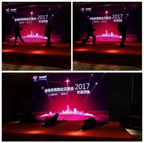 無(wú)錫紫蘋果裝飾