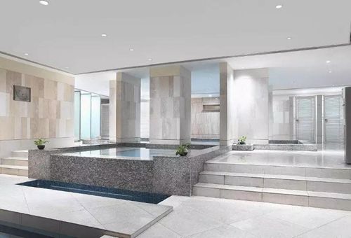 無錫紫蘋果裝飾