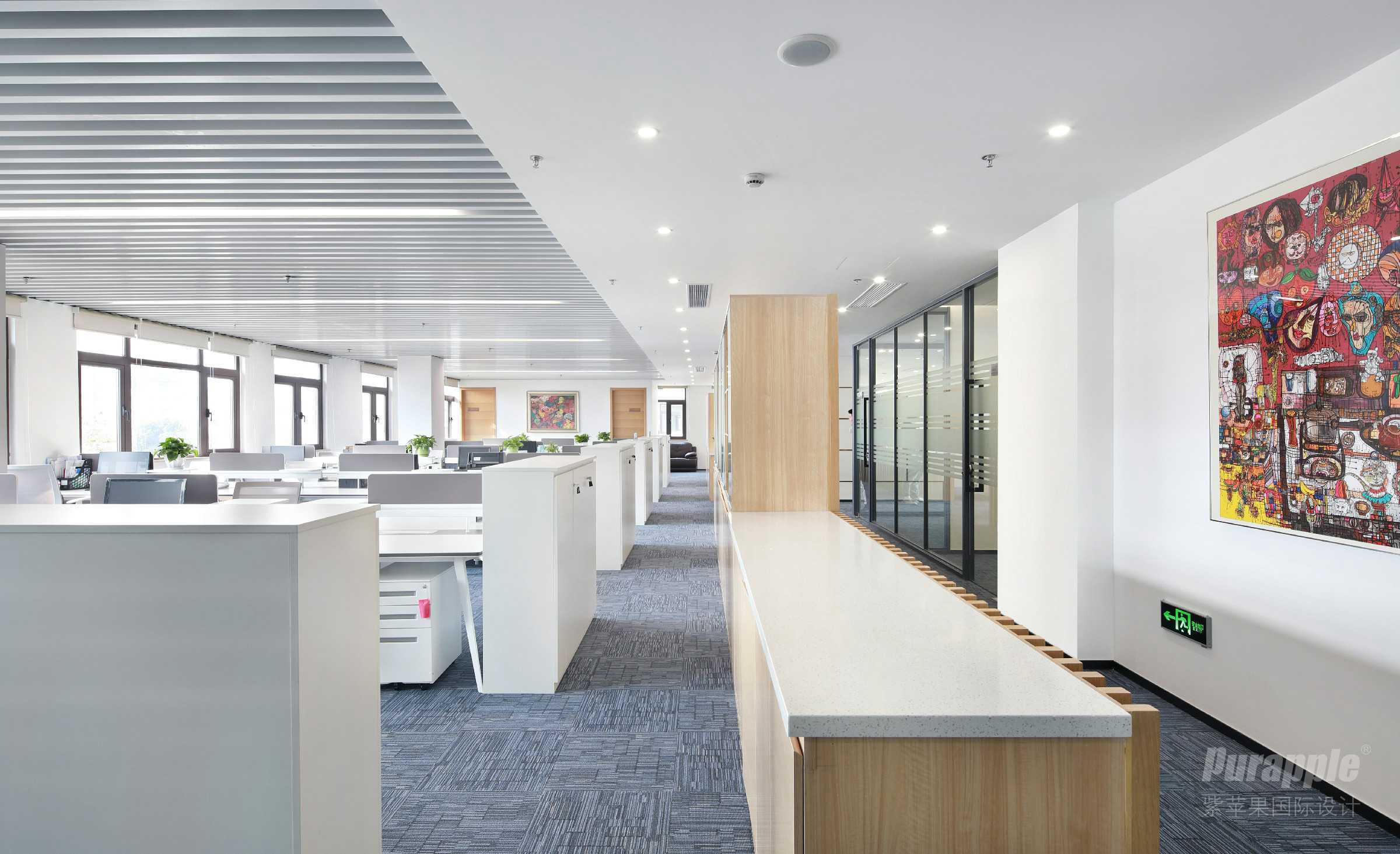 上海云欣路2000㎡生物科技辦公室